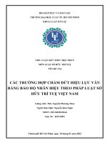CÁC TRƯỜNG HỢP CHẤM DỨT HIỆU LỰC VĂN BẰNG BẢO HỘ NHÃN HIỆU THEO PHÁP LUẬT SỞ HỮU TRÍ TUỆ VIỆT NAM