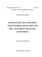 ĐÁNH GIÁ kết QUẢ sớm PHẪU THUẬT HYBRID TRONG điều TRỊ bóc TÁCH ĐỘNG MẠCH CHỦ STANFORD b 