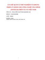 tiểu luận cơ CHẾ QUẢN lí THỬ NGHIỆM và KHUNG PHÁP lý DÀNH CHO CÔNG NGHỆ tài CHÍNH (FINTECH) TRÊN TG và VIỆT NAM 