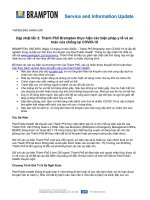 SIU 20_008 03.12.2020 Update 2-City of Brampton health and  safety measures against COVID-19-Vietnamese