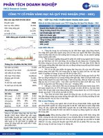 Báo cáo Công ty Cổ phần Vàng Bạc Đá quý Phú Nhuận (PNJ - HSX) - cập nhật 04_06_2019