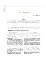 5613_Thap Yang Prong