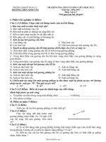 Đề kiểm tra chất lượng giữa học kì I Vật lí lớp 7  Năm học 20162017  Trường THCS Ninh Vân1780