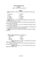 Bộ đề thi kiểm tra cuối kì I môn: Thủ công kĩ thuật lớp 11364