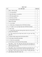 SKKN Một số giải pháp giúp học sinh thực hành các yêu cầu đối với đội viên trong nghi thức đội đạt hiệu quả cao tại Liên đội THCS Nguyễn Bỉnh Khiêm