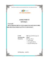 Chuyên đề HOẠCH ĐỊNH CHIẾN LƯỢC MARKETING SỐ CHO SẢN PHẨM BIA HEINEKEN 0 ĐỘ TẠI CÔNG TY HEINEKEN