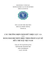 TIỂU LUẬN các TRƯỜNG hợp CHẤM dứt HIỆU lực văn BẰNG bảo hộ NHÃN HIỆU THEO PHÁP LUẬT sở hữu TRÍ TUỆ VIỆT NAM 