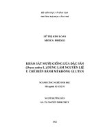 (Luận án tiến sĩ) khảo sát mười giống lúa (oryza sativa l ) đặc sản dùng làm nguyên liệu chế biến bánh mì không gluten 