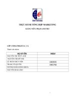 THỰC HÀNH TỔNG hợp MARKETING gạo ông bốn 