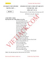 de-thi-giua-ki-1-ngu-van-lop-10-ho-chi-minh-co-dap-an-dtvj2021t1