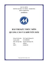 PHÂN TÍCH KẾ HOẠCH QUẢNG CÁO CỦA CHIẾN DỊCH PEPSI NGÕ