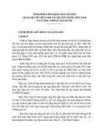 Tình hình Liên bang Nga gần đây, quan hệ với Việt Nam và chuyến thăm Việt Nam của tổng thống Putin