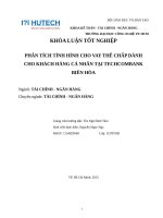 PHÂN TÍCH TÌNH HÌNH CHO VAY THẾ CHẤP DÀNH CHO KHÁCH HÀNG CÁ NHÂN TẠI TECHCOMBANK BIÊN HÒA