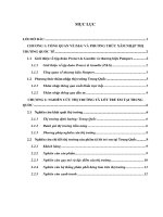 Chiến lược marketing quốc tế của P&G cho sản phẩm pampers tại thị trường trung quốc