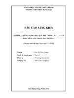 sang kien kinh nghiem THPT21 19