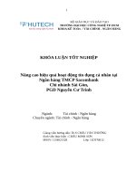 Nâng cao hiệu quả hoạt động tín dụng cá nhân tại Ngân hàng TMCP Sacombank Chi nhánh Sài Gòn, PGD Nguyễn Cư Trinh