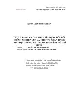 THỰC TRẠNG VÀ GIẢI PHÁP TÍN DỤNG ĐỐI VỚI DOANH NGHIỆP VỪA VÀ NHỎ TẠI NGÂN HÀNG TMCP ĐẠI CHÚNG VIỆT NAM CHI NHÁNH HỒ CHÍ MINH