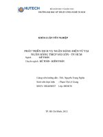 PHÁT TRIỂN DỊCH VỤ NGÂN HÀNG ĐIỆN TỬ TẠI NGÂN HÀNG TMCP SÀI GÒN  TP. HCM