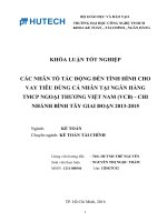 CÁC NHÂN TỐ TÁC ĐỘNG ĐẾN TÌNH HÌNH CHO VAY TIÊU DÙNG CÁ NHÂN TẠI NGÂN HÀNG TMCP NGOẠI THƯƠNG VIỆT NAM (VCB)  CHI NHÁNH BÌNH TÂY GIAI ĐOẠN 20132015