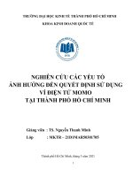 Nghiên cứu các yếu tố ảnh hưởng đến quyết định sử dụng ví điện tử Momo tại thành phố Hồ Chí Minh
