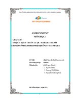 Chuyên đề HOẠCH ĐỊNH CHIẾN LƯỢC MARKETING SỐ CHO SẢN PHẨM BIA HEINEKEN 0 ĐỘ TẠI CÔNG TY HEINEKEN