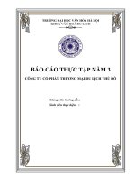 Báo cáo thực tập tại CÔNG TY CỔ PHẦN THƯƠNG MẠI DU LỊCH THỦ ĐÔ