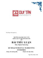 TIỂU LUẬN môn digital marketing kế HOẠCH DIGITAL MARKETING INNISFREE 