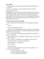 Tiểu luận thương mại điện tử căn bản