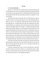 Tiểu luận lớp chuyên viên nhà nước  tình huống Sinh con thứ 3