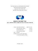 BÁO cáo đề tài QUY TRÌNH CÔNG NGHỆ sản XUẤT nước ép bưởi 