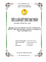 Lý luận chung về lực lượng sản xuất từ đó liên hệ với thực trạng lao động ở việt nam hiện nay