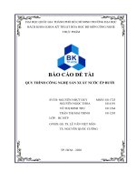 BÁO CÁO ĐỀ TÀI QUY TRÌNH CÔNG NGHỆ SẢN XUẤT NƯỚC ÉP BƯỞI
