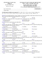 Đề khảo sát chất lượng môn Hóa học năm 2020-2021 - Sở GD&ĐT Nghệ An - Mã đề 207