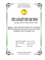 Phân tích hàng hóa sức lao động và giải pháp để giải quyết bài toán thất nghiệp ở việt nam hiện nay