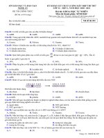 Đề khảo sát chất lượng môn Sinh học năm 2020-2021 - Sở GD&ĐT Nghệ An - Mã đề 203