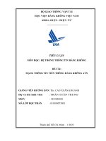 TIỂU LUẬN môn học hệ THỐNG THÔNG TIN HÀNG KHÔNG đề tài MẠNG THÔNG TIN VIỄN THÔNG HÀNG KHÔNG ATN 