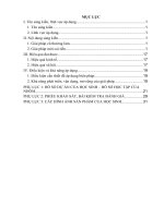 SKKN dạy học STEM chủ đề “sự biến đổi chất   sắc nến lung linh 