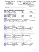 Đề khảo sát chất lượng môn Tiếng Anh năm 2020-2021 - Sở GD&ĐT Nghệ An - Mã đề 402