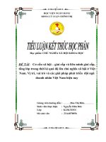 Cơ cấu xã hội – giai cấp và liên minh giai cấp, tầng lớp trong thời kì quá độ lên chủ nghĩa xã hội ở việt nam  vị trí, vai trò và các giải pháp phát triển đội ngũ doanh nhân việt nam hiện nay
