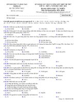 Đề khảo sát chất lượng môn Hóa học năm 2020-2021 - Sở GD&ĐT Nghệ An - Mã đề 208