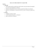 Lý thuyết và bài tập trắc nghiệm cấu trúc di truyền của quần thể