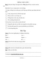 Đề ôn thi giữa học kì II môn Tiếng việt Lớp 25724