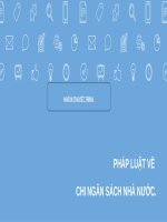 Slide thuyết trình pháp luật về chi ngân sách nhà nước