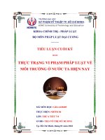 tiểu luận pháp luật đại cương đề tài THỰC TRẠNG VI PHẠM PHÁP LUẬT VỀ MÔI TRƯỜNG Ở NƯỚC TA HIỆN