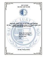 Tiểu luận nhận diện những hành vi vi phạm pháp luật đất đai và xử lý vi phạm