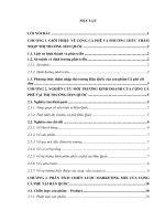 Chiến lược Marketing quốc tế sản phẩm Cà phê cốt dừa của Công ty Trách nhiệm hữu hạn Cộng Cà phê tại thị trường Hàn Quốc