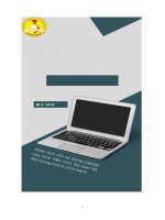 tiểu luận phân tích cầu sử dụng laptop của sinh viên trên địa bàn hà nội trong thời kì dịch bệnh 