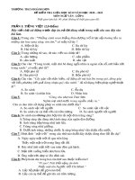 Đề thi giữa học kì 2 môn Ngữ văn lớp 6 năm 2020-2021 có đáp án - Trường THCS Hoành Sơn