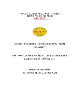 TIỂU LUẬN học PHẦN đại CƯƠNG PHÁP LUẬT VIỆT NAM đề tài VAI TRÒ của CHÍNH PHỦ TRONG CHỈ đạo, điều HÀNH đại DỊCH COVID 19 ở VIỆT NAM 
