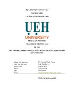 TIỂU LUẬN môn học NGÂN HÀNG THƯƠNG mại đề tài sản PHẨM BANKPLUS MB tại NGÂN HÀNG THƯƠNG mại cổ PHẦN QUÂN đội (MB) 